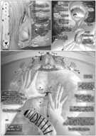 Chainsaw_Man comic Denji Power ramondashi
1521x2160 // 3.1MB // png
February 10, 2026; 12:28