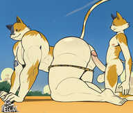 Elfein Fortnite Kit Meowscles
1440x1224 // 401KB // jpg
February 4, 2026; 19:40