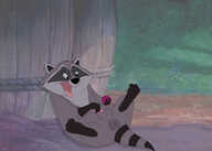 darkbunny666 Meeko Pocahontas_(1995_film)
3180x2271 // 1.1MB // jpg
April 15, 2021; 00:48