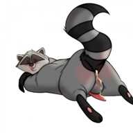 GABUJOE Meeko Pocahontas_(1995_film)
1920x1920 // 1.3MB // png
August 11, 2025; 21:36