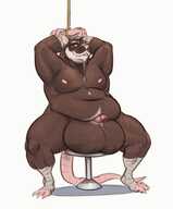 sharkstomeatyou Splinter Teenage_Mutant_Ninja_Turtles TMNT_2012
1920x2325 // 254KB // jpg
February 9, 2025; 01:39