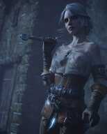 Ciri MissAlly The_Witcher The_Witcher_3
1760x2200 // 5.3MB // png
July 8, 2021; 19:22